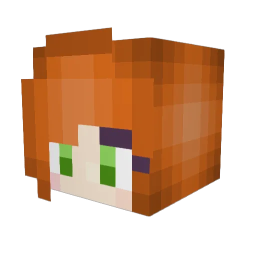 ArcticSquid Minecraft avatar head, 3D render