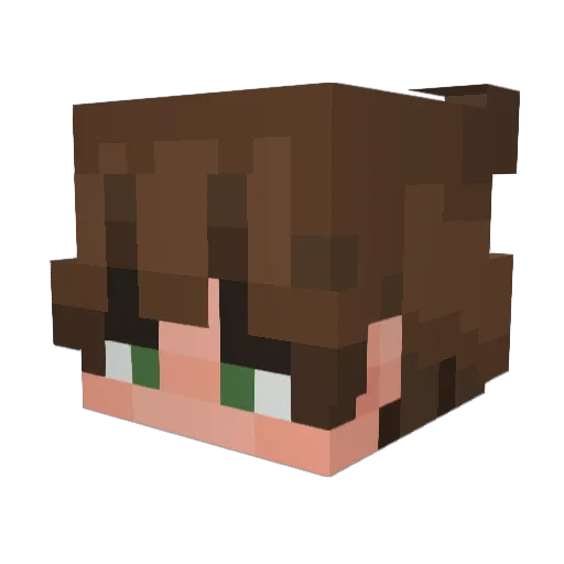 ArcticWolf423 Minecraft avatar head, 3D render