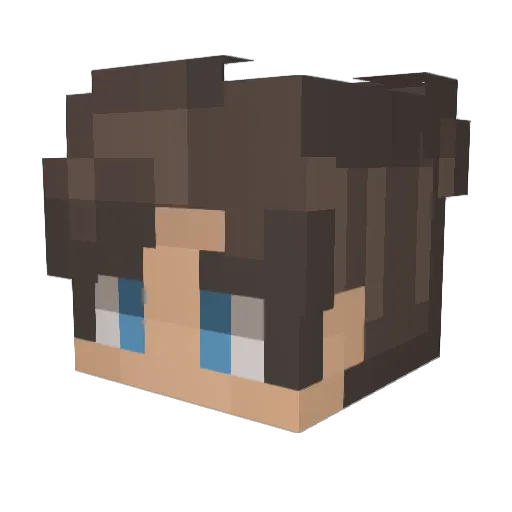 ArcticXI Minecraft avatar head, 3D render