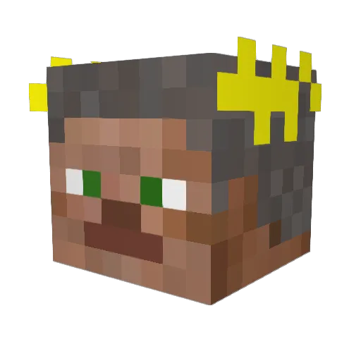 Arctic_Falcon Minecraft avatar head, 3D render