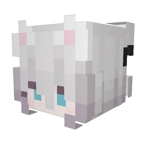 Arctic_Fox14 Minecraft avatar head, 3D render