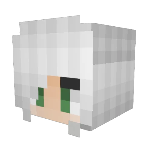 Arctic_Fox23 Minecraft avatar head, 3D render