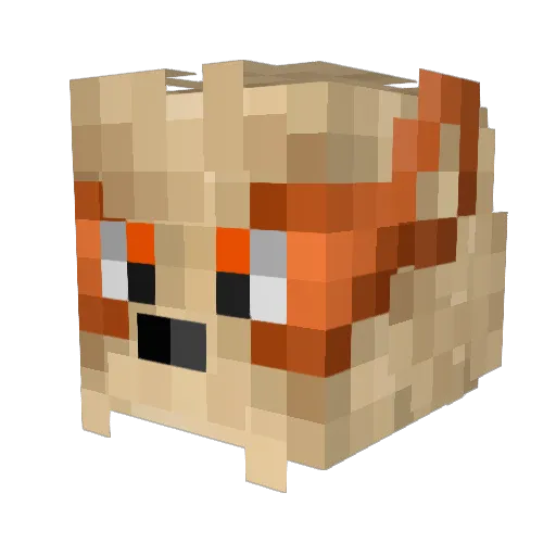 Arctic_Wolf21 Minecraft avatar head, 3D render