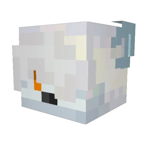 Arctic_fox123 Minecraft avatar head, 3D render