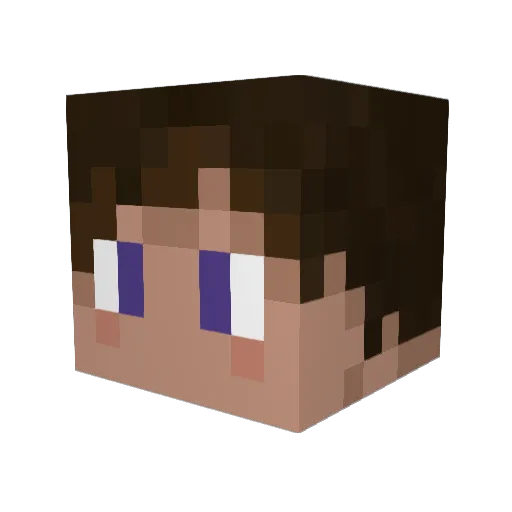 Arcticblast324 Minecraft avatar head, 3D render