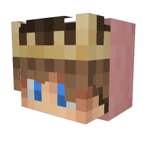 ArcticlySz_ Minecraft avatar head, 3D render