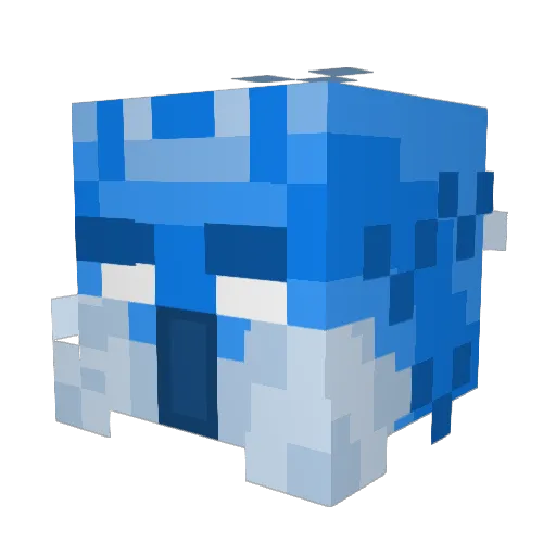 Arcticphoenix25 Minecraft avatar head, 3D render