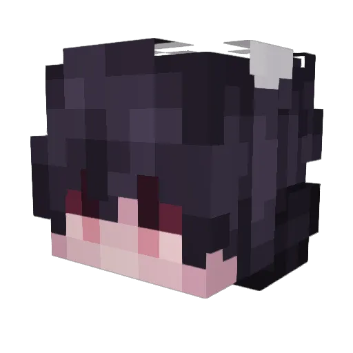 Arcticsnake2020 Minecraft avatar head, 3D render
