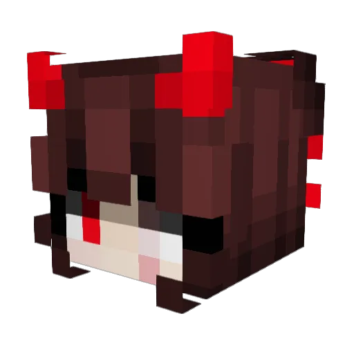 Arcticthehusky Minecraft avatar head, 3D render