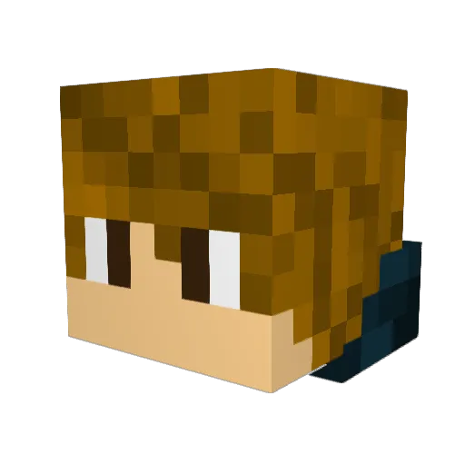 Arcticwolf004 Minecraft avatar head, 3D render