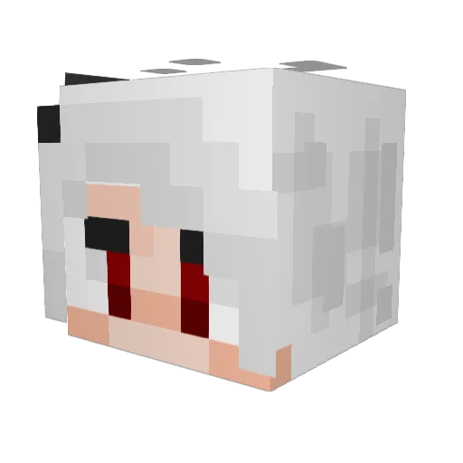 Arcticwolf16 Minecraft avatar head, 3D render