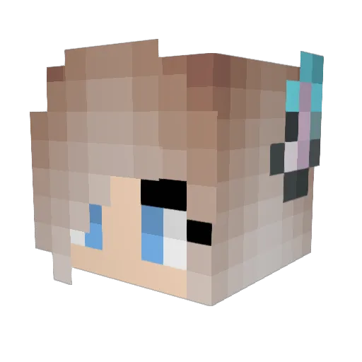 Arcticwolfy360 Minecraft avatar head, 3D render