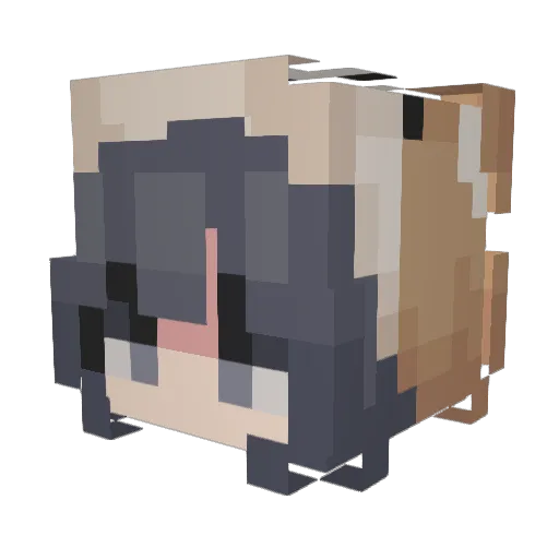 Arcticxpup Minecraft avatar head, 3D render