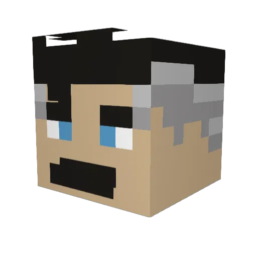 Arctirex967 Minecraft avatar head, 3D render