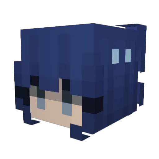 Arctovish Minecraft avatar head, 3D render