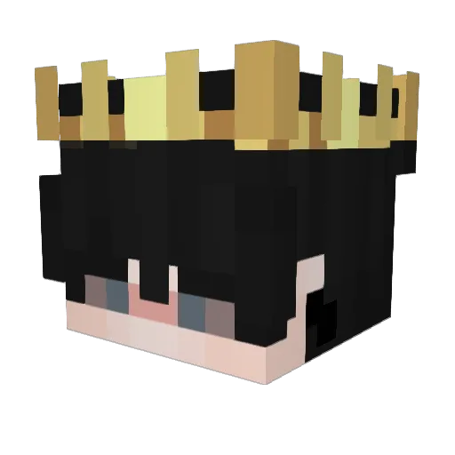 ArcturusX1 Minecraft avatar head, 3D render