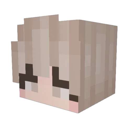 Arcturussssssss Minecraft avatar head, 3D render