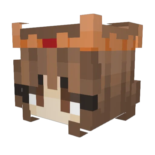 Arcus20 Minecraft avatar head, 3D render