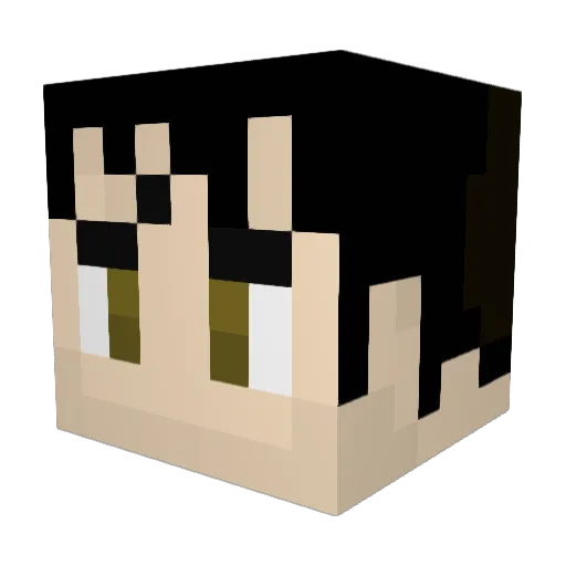 Arcus493 Minecraft avatar head, 3D render