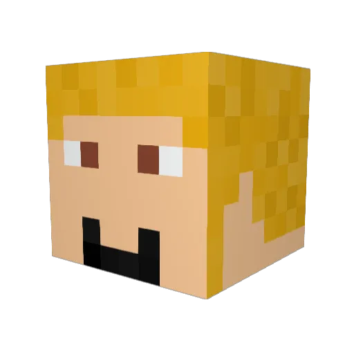 Ard1nn Minecraft avatar head, 3D render