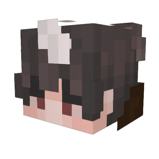 Ard4rda Minecraft avatar head, 3D render