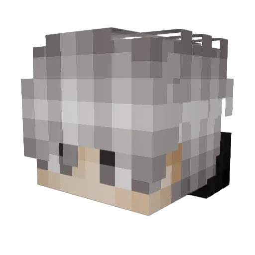Ardashu Minecraft avatar head, 3D render