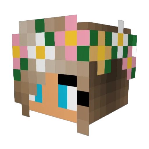 ArdenBarter Minecraft avatar head, 3D render