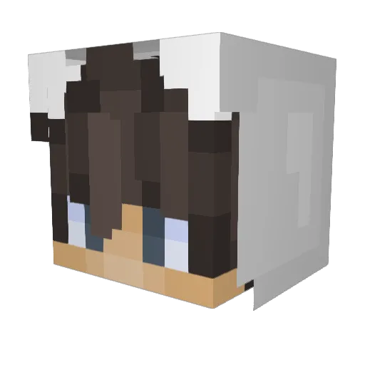 ArdentFire_YT Minecraft avatar head, 3D render