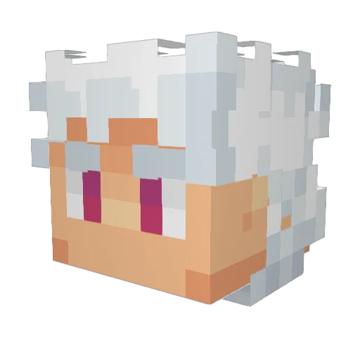 ArdentQQ Minecraft avatar head, 3D render