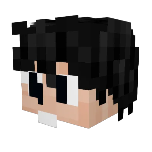ArdentWalnut Minecraft avatar head, 3D render