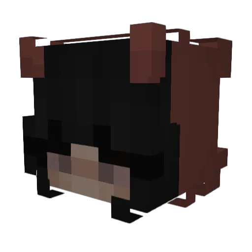 Ardenwald Minecraft avatar head, 3D render
