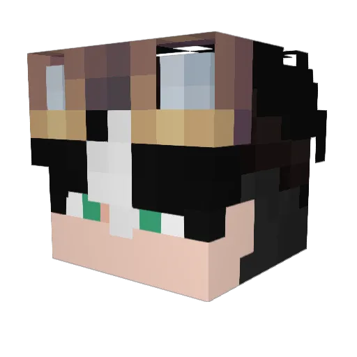 Ardeska Minecraft avatar head, 3D render
