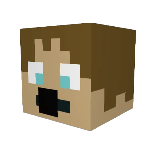 Ardeybil Minecraft avatar head, 3D render
