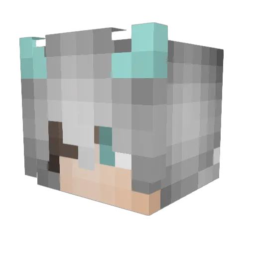 Ardss_ Minecraft avatar head, 3D render