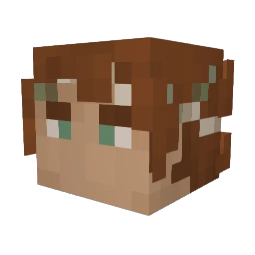 Ardushir Minecraft avatar head, 3D render
