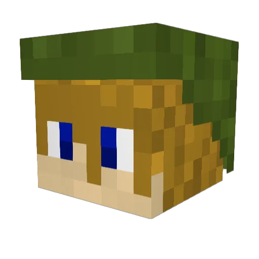 Ardusplay Minecraft avatar head, 3D render