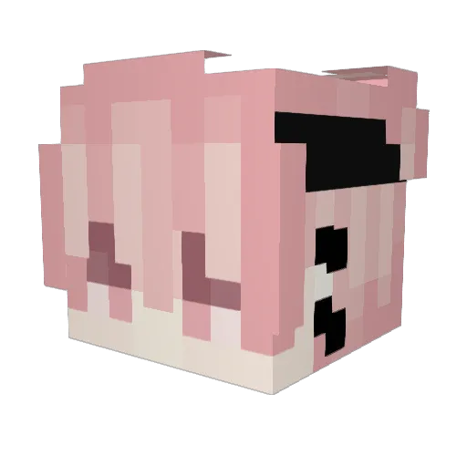 Ardwyn Minecraft avatar head, 3D render