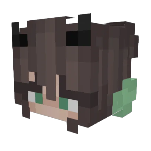 AreUBonk Minecraft avatar head, 3D render