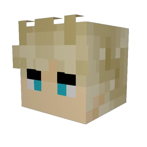 Area51gnome Minecraft avatar head, 3D render