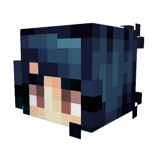 AreaMath Minecraft avatar head, 3D render