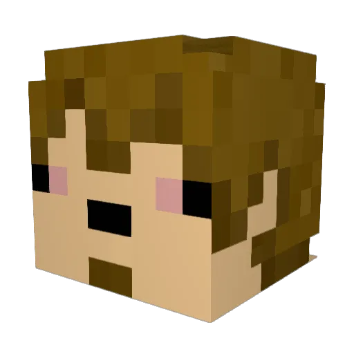 Arecus12 Minecraft avatar head, 3D render