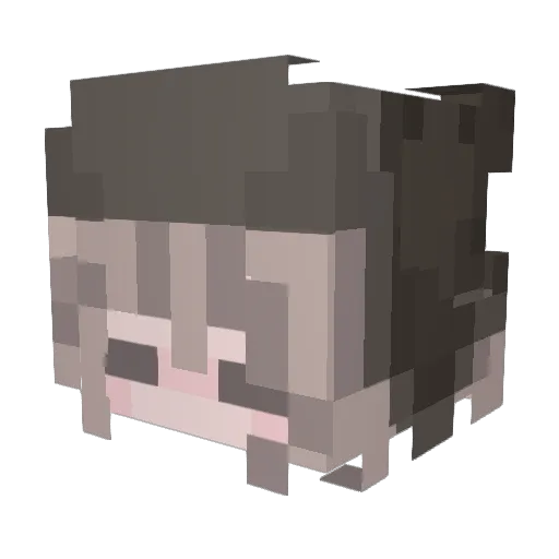 Areenne Minecraft avatar head, 3D render