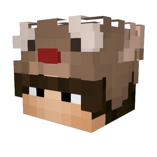 Aregda2143 Minecraft avatar head, 3D render