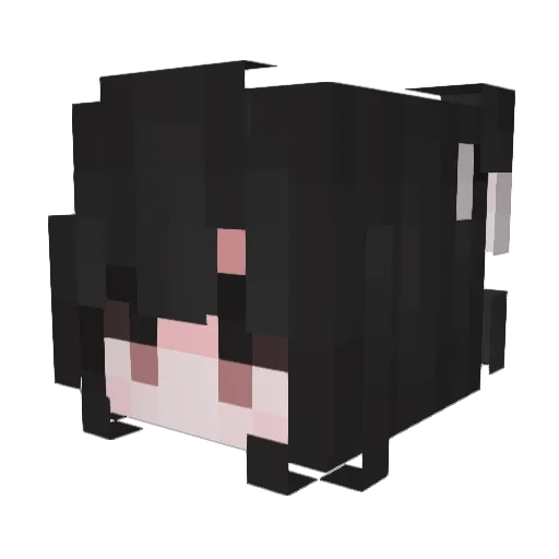 Areizh Minecraft avatar head, 3D render