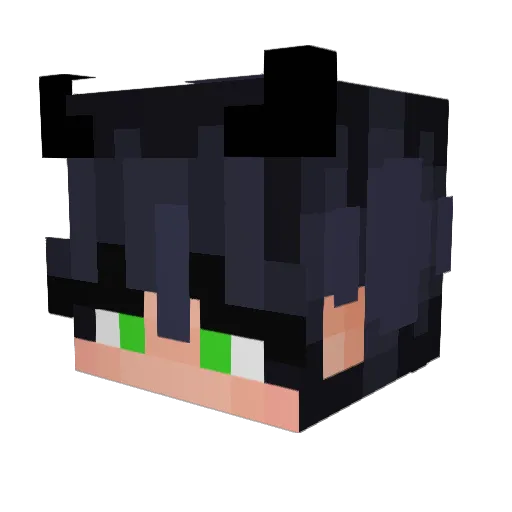 Arenas98 Minecraft avatar head, 3D render