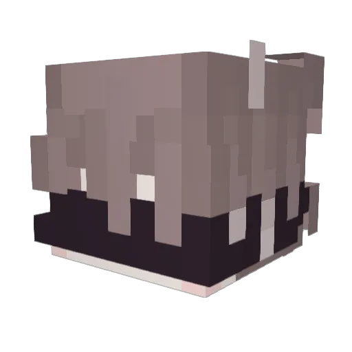 Arentime_ Minecraft avatar head, 3D render