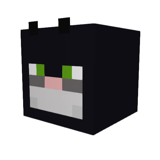 Ares7300 Minecraft avatar head, 3D render