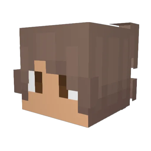 Aresbll22 Minecraft avatar head, 3D render