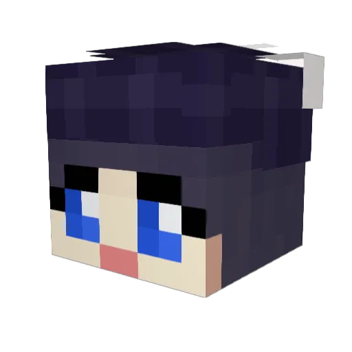 Aresian12 Minecraft avatar head, 3D render