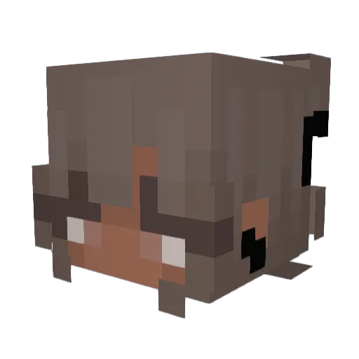 Aretis Minecraft avatar head, 3D render